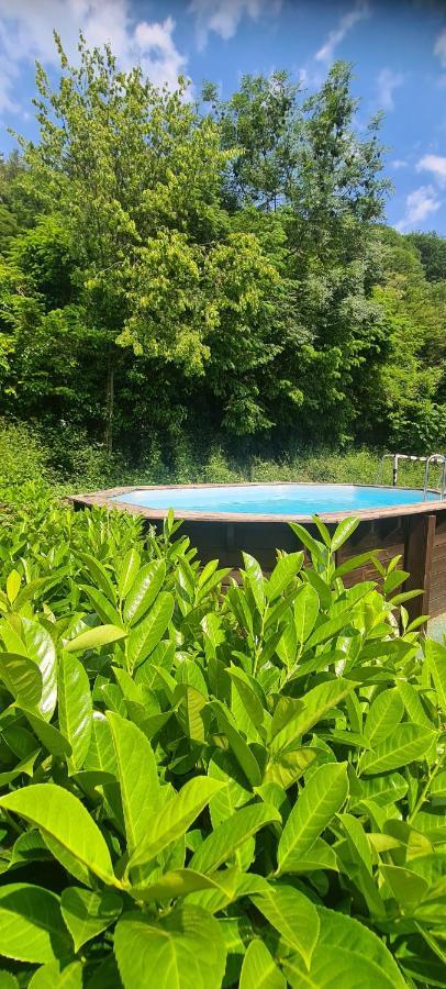 Willa Maison Piscine Saint-Amarin Zewnętrze zdjęcie