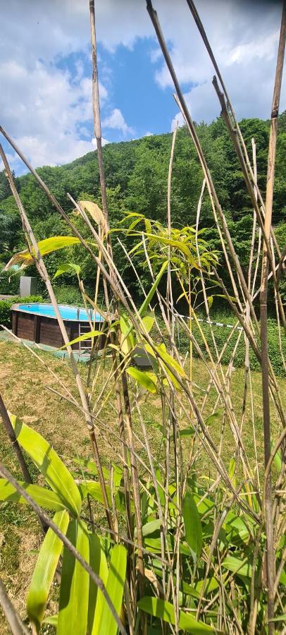Willa Maison Piscine Saint-Amarin Zewnętrze zdjęcie